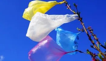 Финские соцсети обсуждают: пластиковые пакеты или тканевые сумки?